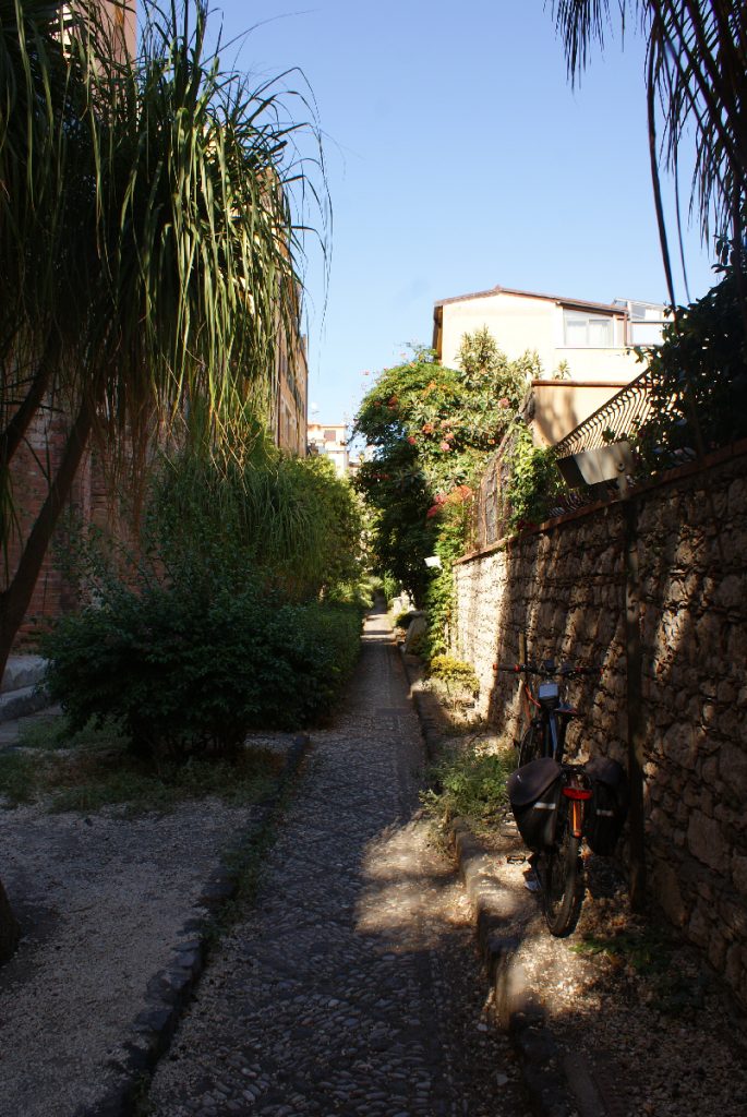 SONY DSC