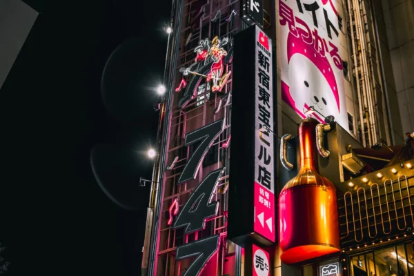 Kabuchicko is often called the "sleepless town" it is the main entertainment part of of Shinjuku. You can find all kinds of sin here, from gambling to hosts and hostesses clubs.